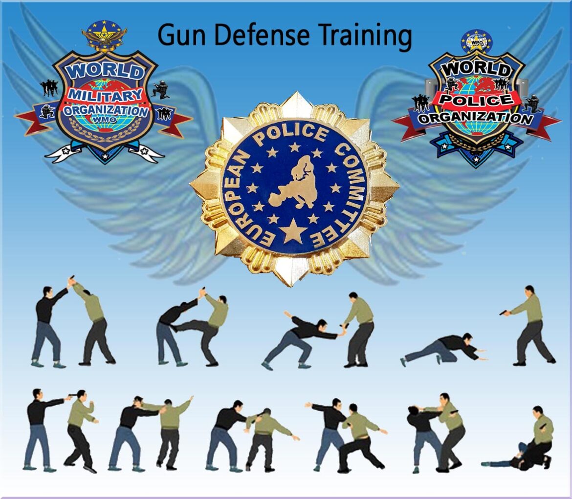 Gun Defense Training